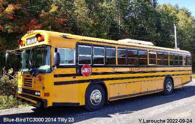 BUS/AUTOBUS: Blue Bird TC3000 2014 Tilly