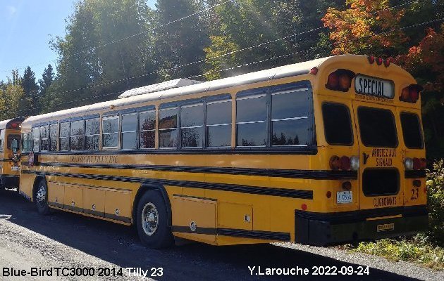 BUS/AUTOBUS: Blue Bird TC3000 2014 Tilly