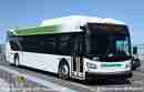 pics/transbus1237_small.jpg