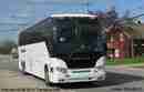 pics/transbus349b_small.jpg