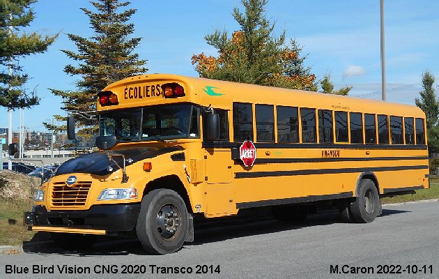 BUS/AUTOBUS: Blue Bird Vision CNG 2020 Transco