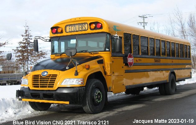 BUS/AUTOBUS: Blue Bird Vision CNG 2021 Transco