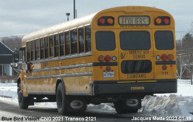 BUS/AUTOBUS: Blue Bird Vision CNG 2021 Transco