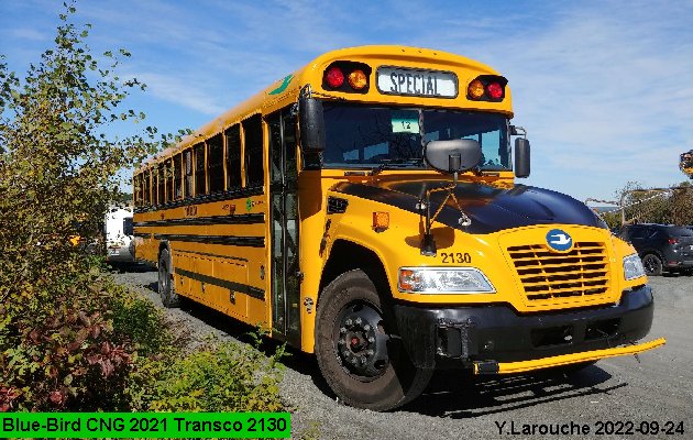 BUS/AUTOBUS: Blue Bird Vision CNG 2021 Transco