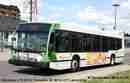 pics/transdev3019214_small.jpg