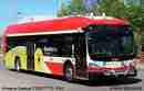 ttc3721.jpg