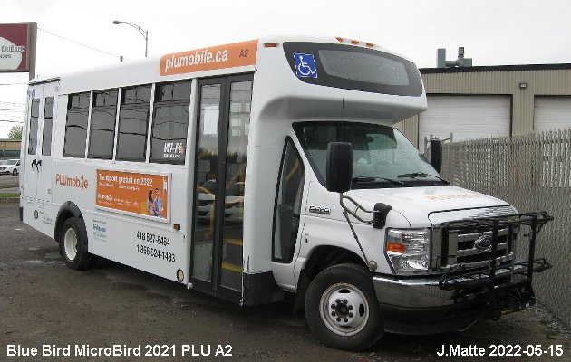 BUS/AUTOBUS: Blue Bird MicroBird 2021 Tours Vieux Quebec