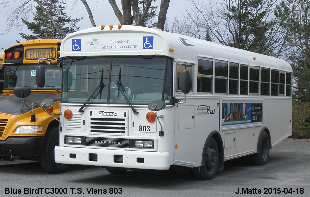 BUS/AUTOBUS: Blue Bird TC3000 2012 Viens