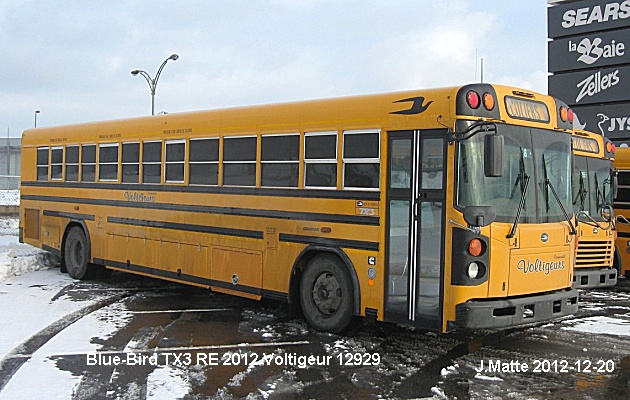 BUS/AUTOBUS: Blue Bird TX 3 2012 Voltigeurs
