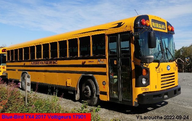 BUS/AUTOBUS: Blue Bird TX 14 2017 Voltigeurs