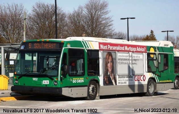 BUS/AUTOBUS: Novabus LFS 2017 Woodstock Transit