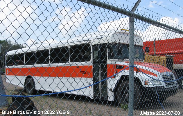 BUS/AUTOBUS: Blue Bird eVision 2022 Aéroport Jean Lessage